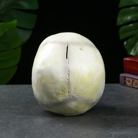 Piggy bank "Skull" Bone Bone, 16x13x22cm-3