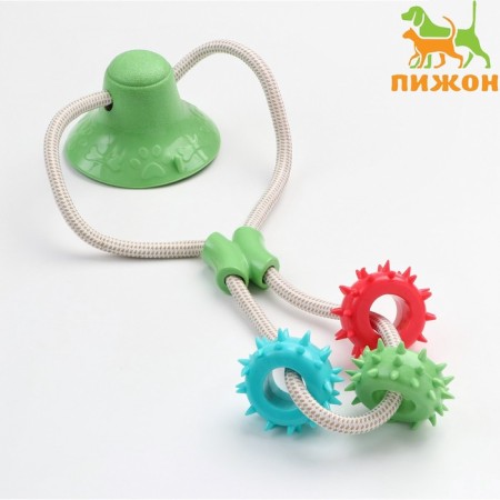 Dog toy "Rings with spikes on a suction cup", 40 cm, green/blue/red