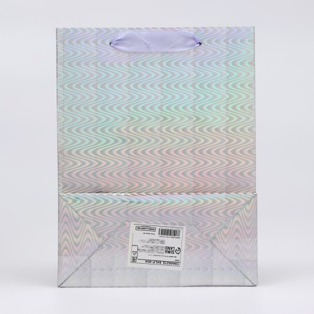 Packet Holography with a window, "silver", s 23.5 x18 x 8.5 cm-1