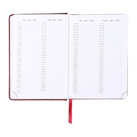 Dated diary 2025 b6 168 sheets, Devente. Wild, a solid cover to leatzers with foam rubber, perforation, liesse, block 70, burgundy-10