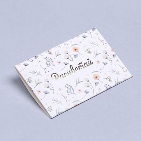 Convert for a certificate with embossing "Blave" 10.5 x 7 set 10 pcs