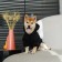 SECURITY sweatshirt for dogs (foot), size L (DS 30, Osh 38-40, OG 52-56), black