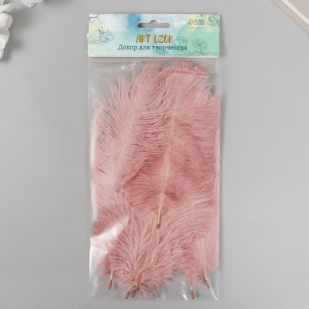 Pen of decorative ostrich "Dust Rose" h = 15-20 cm-2