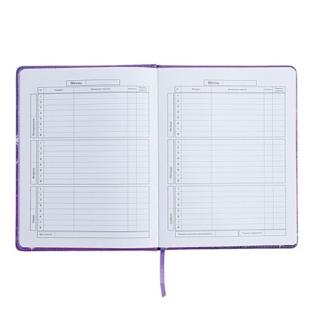 Universal Diary Grade 1-11, 48 sheets "Fairy", hard cover of artificial leather, lies, universal cheat sheet, block 80 g/m2-6