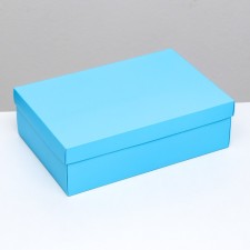Folding box 