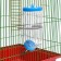 Drill for rodents, 500 ml, 20.5 x 5 cm, blue