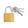 The castle of the hinged type 14, 32 mm, 3 keys
