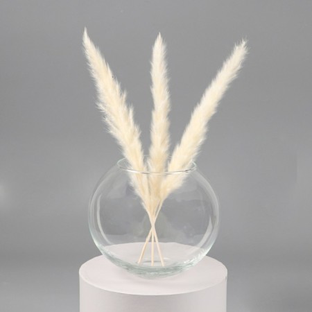 VAZ "Kugel-4" Ball D-8.5cm 14.9x17.2 cm 2.4 l transparent-1