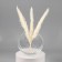 VAZ "Kugel-4" Ball D-8.5cm 14.9x17.2 cm 2.4 l transparent
