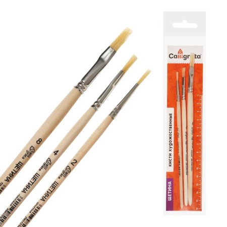 Set of brushes bristles 3 pieces, calligrata (round No. 2; flat No.: 4, 8), wooden handle-2
