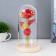 Nightlight "Red Flower" LED from batteries 3haaa 11x11x21.5 cm Risalux