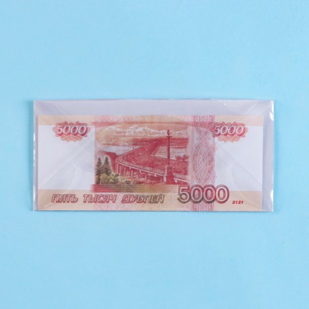The envelope for the money "Magic Wedding Day!" Transparent PVC, 16 x 8 cm-1
