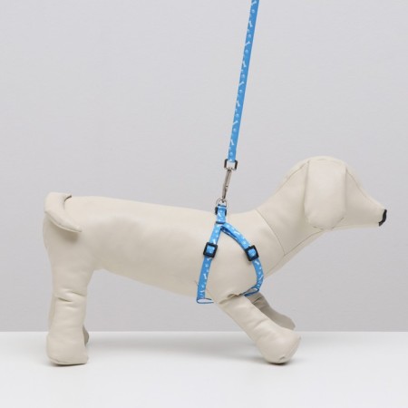 Set "Classic", Kapron, leash 120 x 1 cm, fire 21-35 cm, blue-6