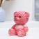 Piggy bank "Bear Plush" Pink, 11x12x15cm