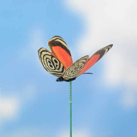 Skewer glowing "Vaisy butterfly" 6.5x25cm, mix-3