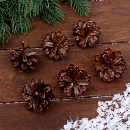 New Year's decor "Set of natural cones" 6 pcs.