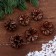 New Year's decor "Set of natural cones" 6 pcs.