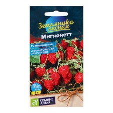 Strawberry seeds 