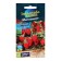 Strawberry seeds "Mignette repairman", 5 pcs