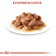 Wet feed RC Instinctive for cats, in sauce, spider, 85 g