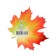 Decoration on the adhesive tape "Maple leaf" Red, green, 18x18 cm