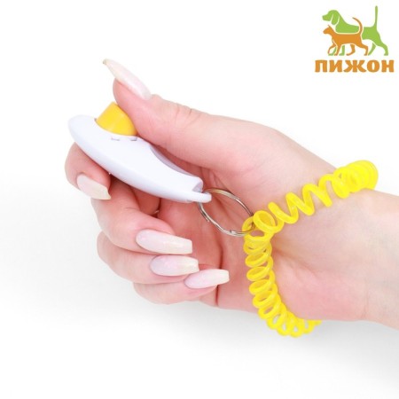 Clider for training dogs with bracelet on hand, white