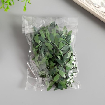 Braid plastic, metal "green leaves" width 2 cm winding 2 meters-1