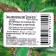 Green corner, “children's” lawn seeds, 0.75 kg
