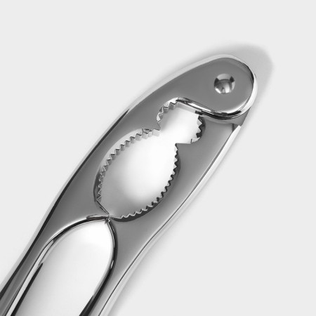 Orekhol Dolyana "Idea", stainless steel-4