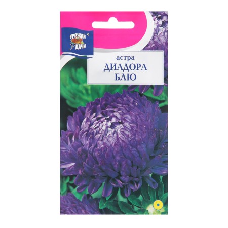 Seeds of flowers Astra Pionovid "Diadora Blue", 0.2 g