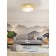 Viserbella lamp 60W E27 champagne
