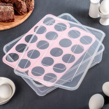 Egg storage container, 20 cells, 27.5 × 22 × 7 cm, color mix-10