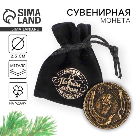 Coin in the New Year's Bag “successful year” for the New Year, diam. 2.5 cm