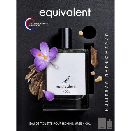 Male toilet water "Equivalent" H011, 100 ml