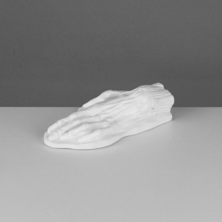 Anatomical gypsum figure: anatomical brush, 26.5 x 16.5 x 7 cm-1