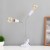 2 lamps