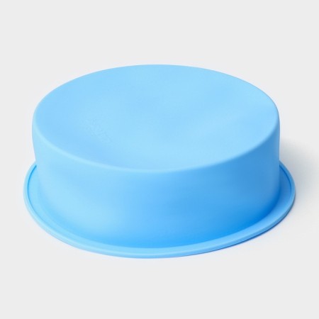 Baking uniform “Circle”, silicone, 15.5 × 5.5 cm, internal d = 15.5 cm, blue color-2