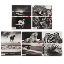 A notebook of 60 sheets in the 
