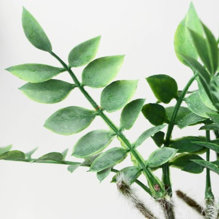 Bonsai in the pot "Zamioculcas" 8.5x22 cm-1