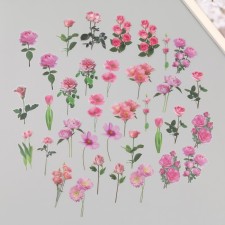 Plastic stickers 