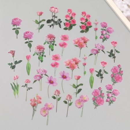 Plastic stickers "Spring flowers. Pink" set 40 pcs 15x8 cm