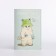 Cover for passport, mint color