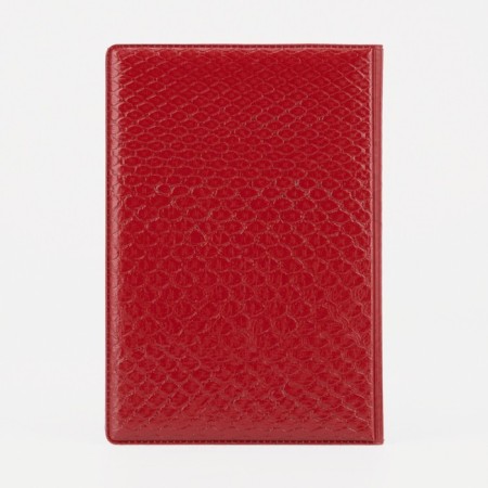 Cover for passport, red color-2