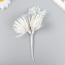 Decor for creativity 