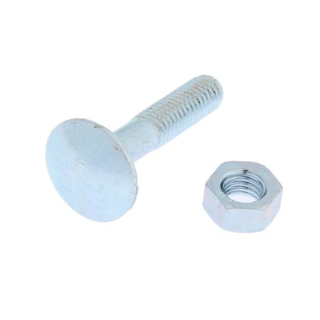 Bolt furniture tundra Krep Din603 6x30 with a nut, zinc, 10 pcs.
