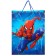 Gift package, 31x40x11 cm, packaging, spider-man