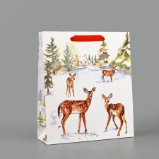 Package Gift New Year Laminated 