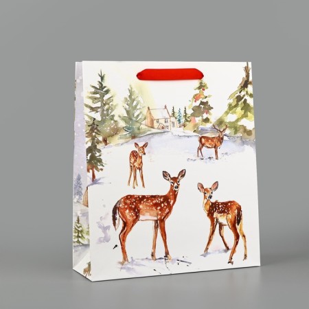 Package Gift New Year Laminated "Walk in the Winter Forest", m 30 x 26 x 9 cm, new year