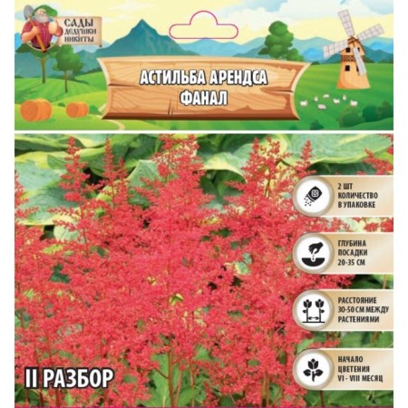 Astilba Lesshand "Fanal" rr II, 2 pcs, spring 2024