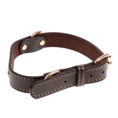 A collar with a gilded sign and fittings, 55 x 2.5 cm, brown-1